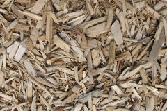 biomass boilers Stravithie