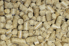 Stravithie biomass boiler costs
